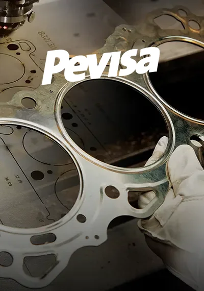 Pevisa Gaskets